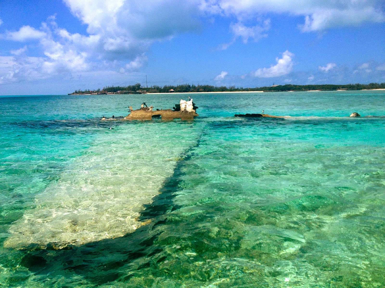 Noleggio Barche Allen’s Cay - Navalia | Noleggia un Sogno