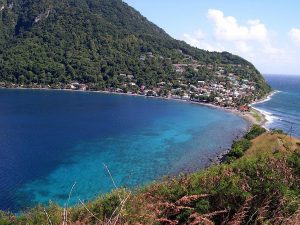 roseau