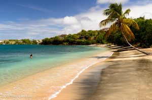 The serenity and splendor of the stunning Lance Aux Epines beach