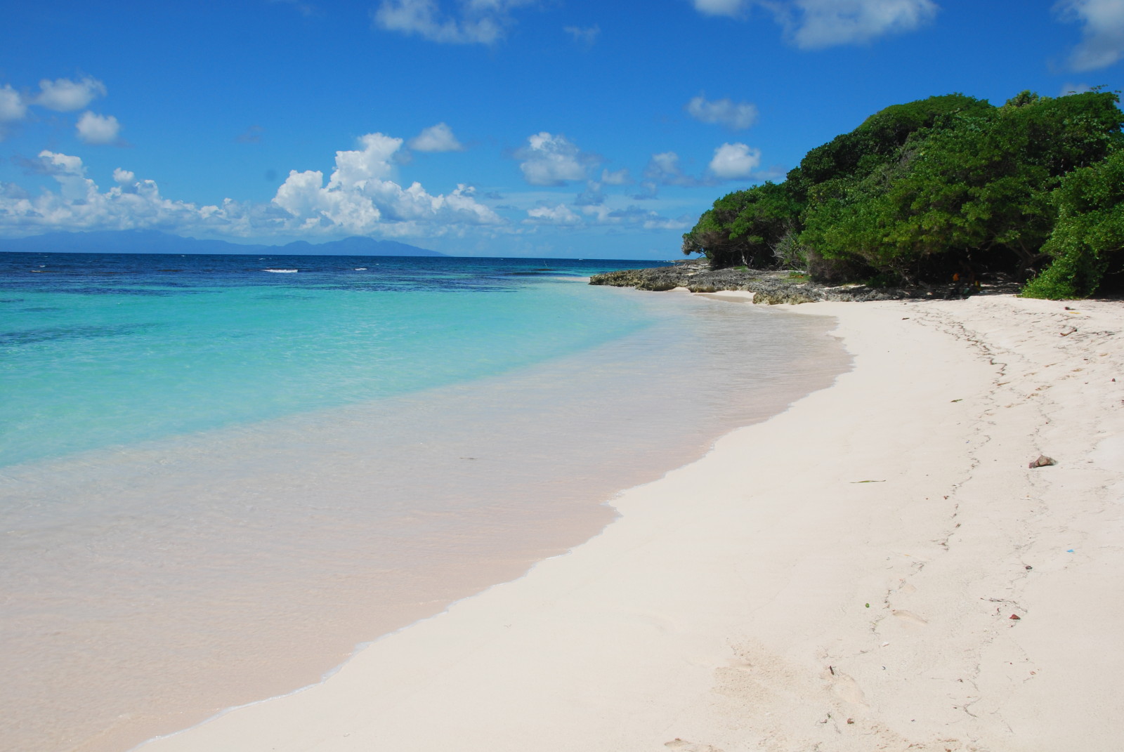 Noleggio Barche Petite Anse - Navalia | Noleggia un Sogno