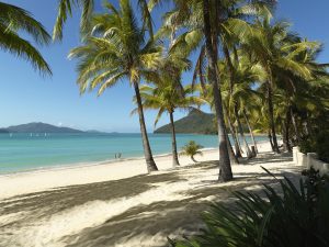 Hamilton Island