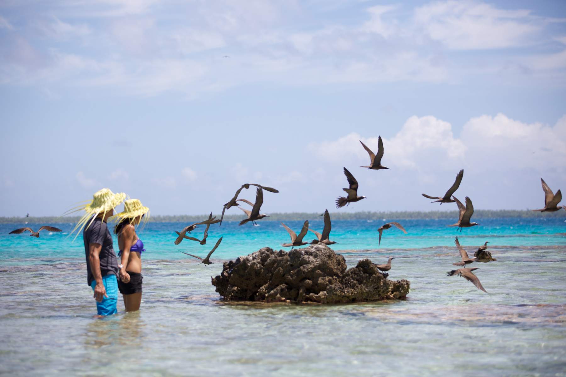 Noleggio Barche Bird Island - Navalia | Noleggia un Sogno