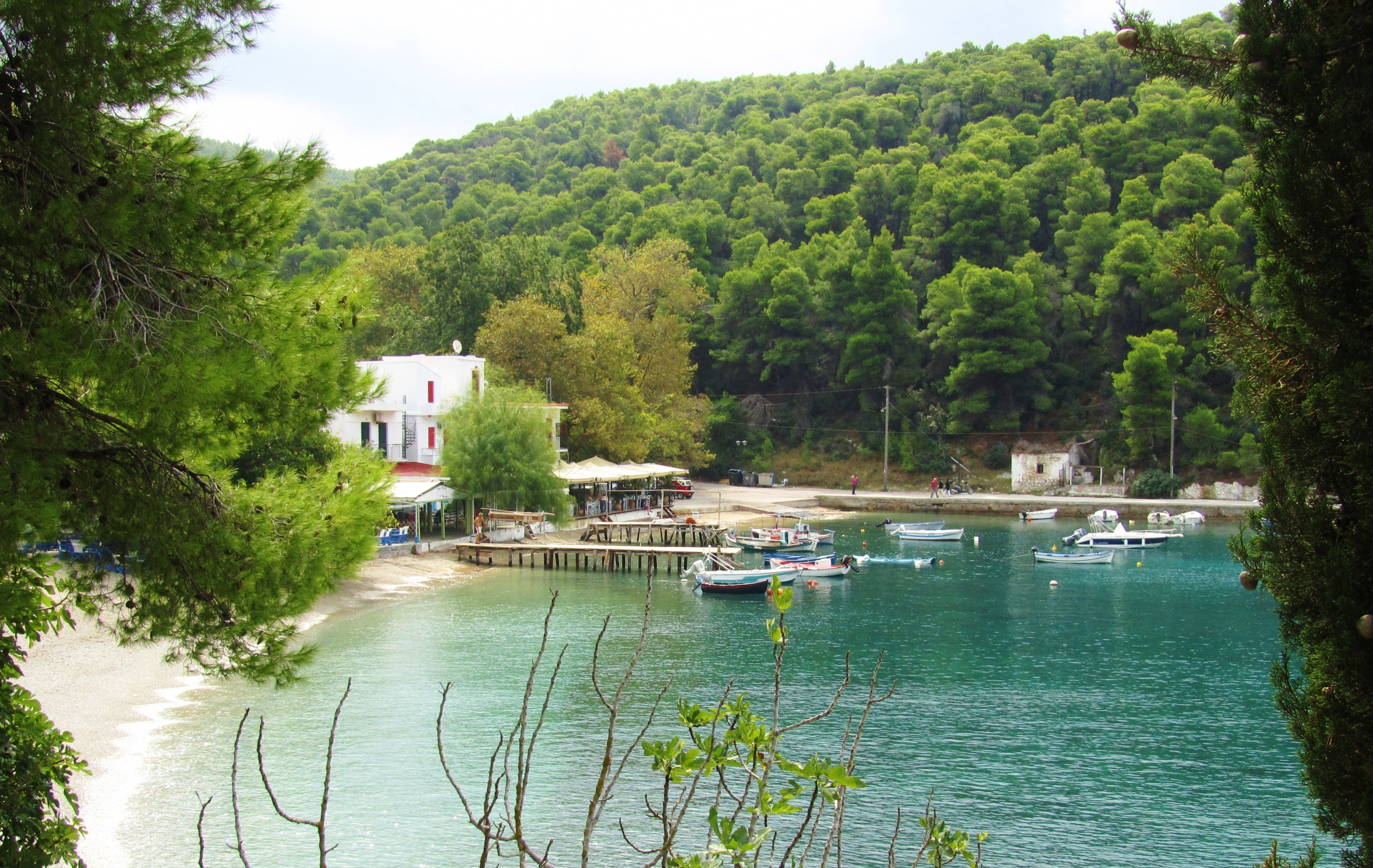 Noleggio Barche Agnontas – Isola di Skopelos - Navalia | Noleggia un Sogno