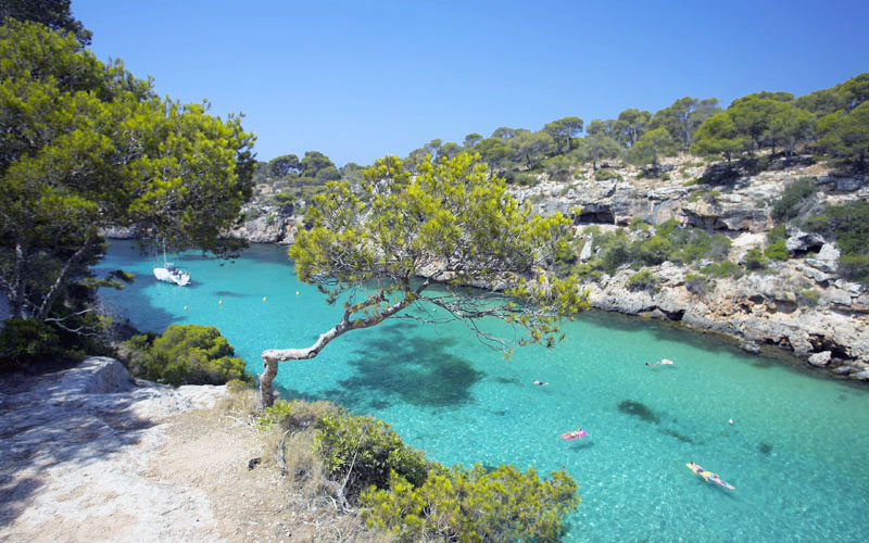 Noleggio Barche Cala Pi – Isola di Maiorca - Navalia | Noleggia un Sogno