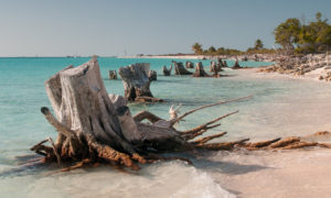 Cayo Guano