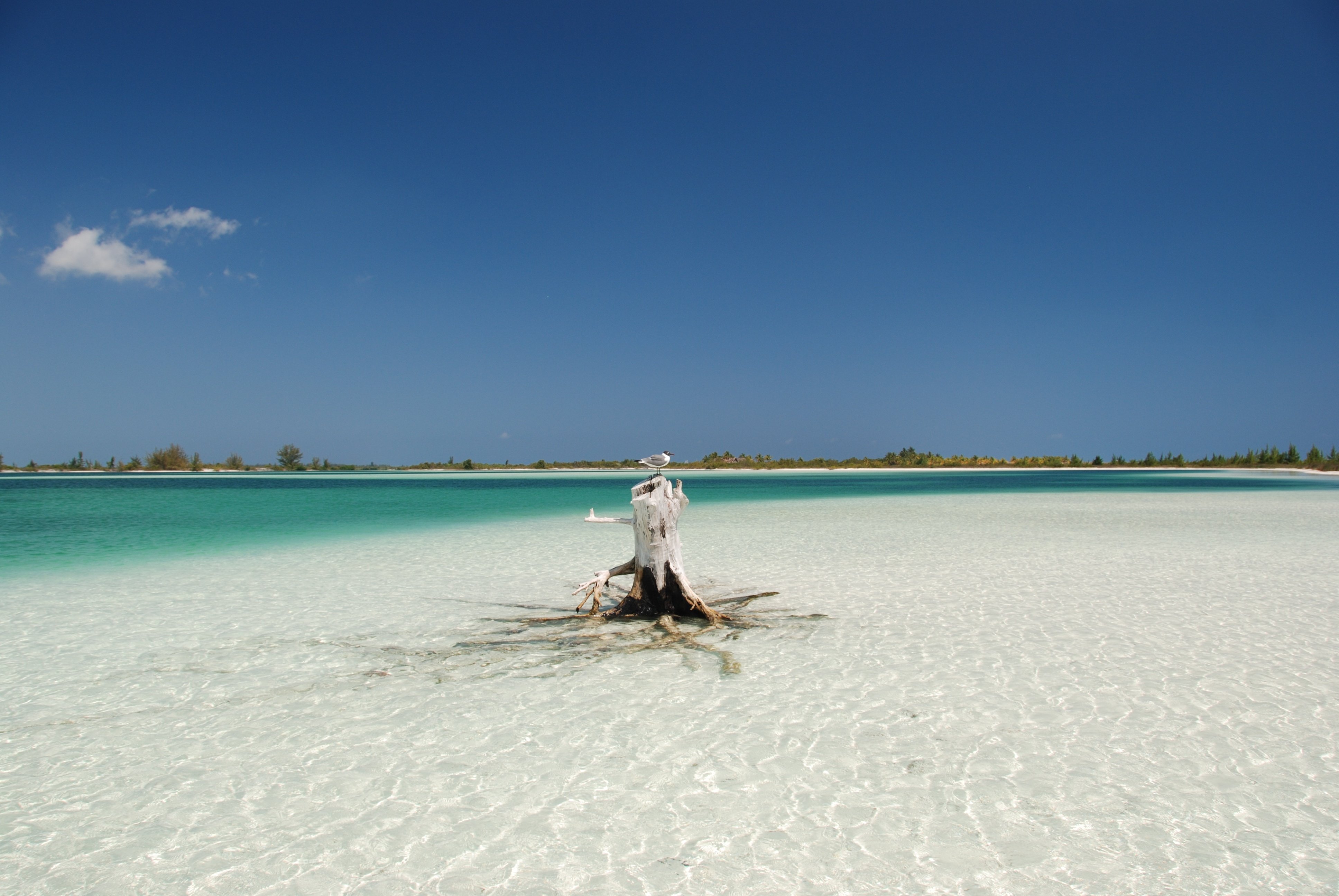 Noleggio Barche Cayo Largo - Navalia | Noleggia un Sogno