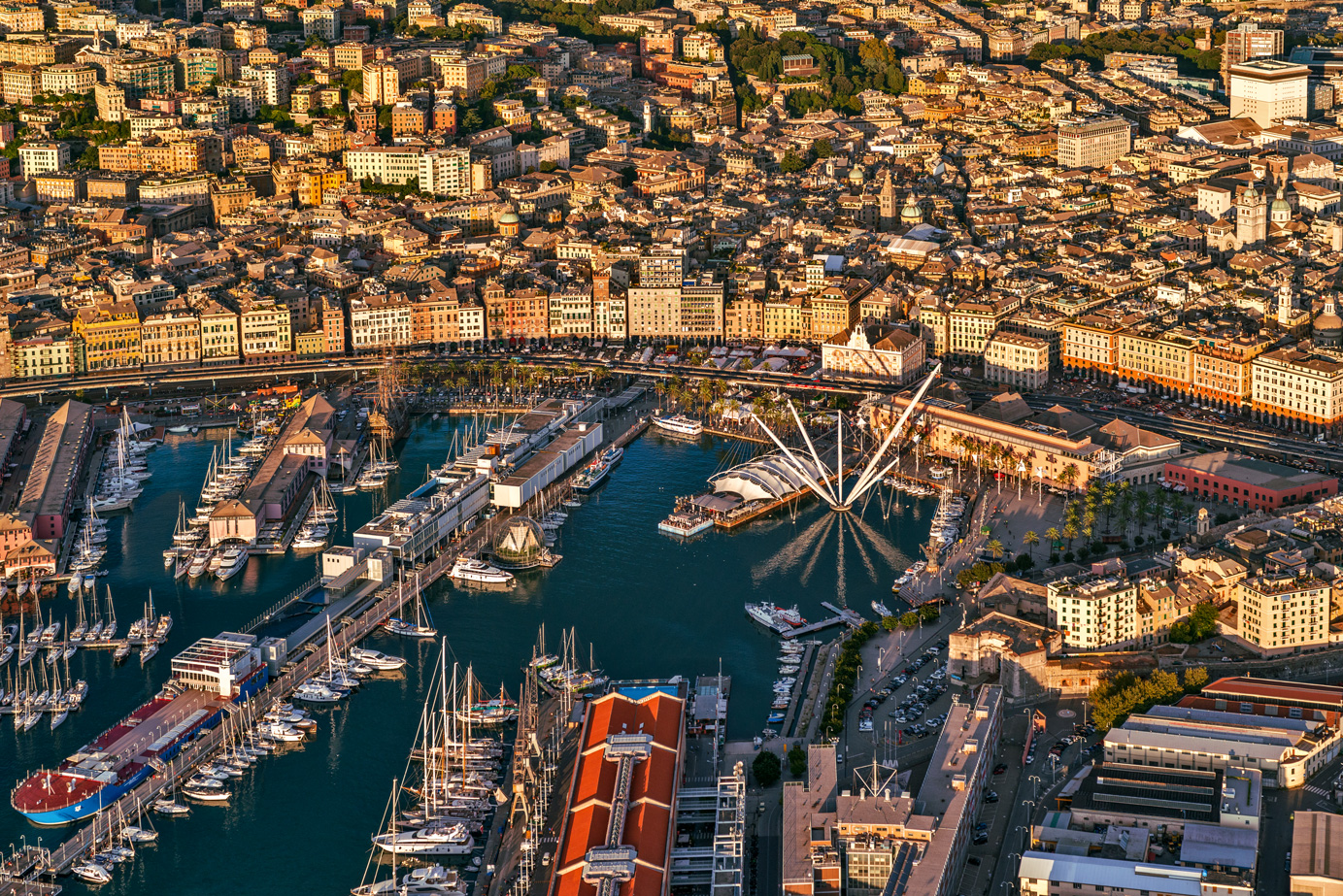 Noleggio Barche Genova - Navalia | Noleggia un Sogno