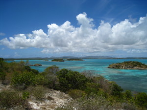 Great Bird Island