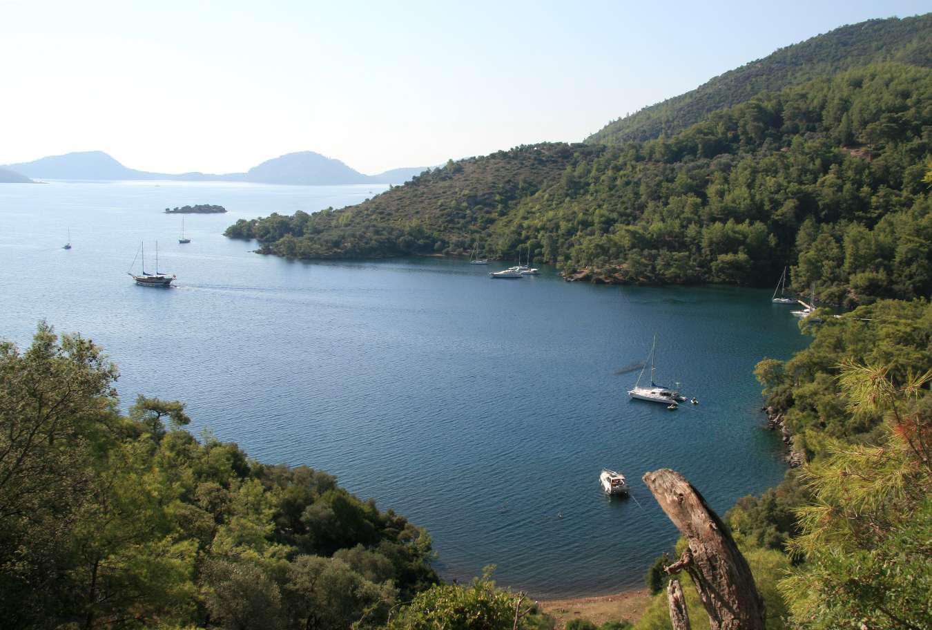 Noleggio Barche Tomb Bay - Navalia | Noleggia un Sogno