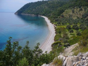 Tuzla Bay