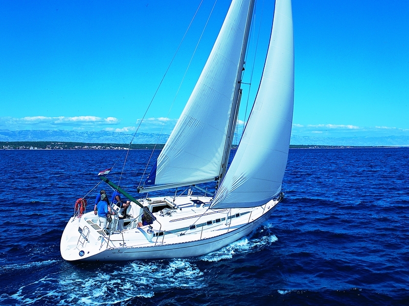Navalia - Imbarcazione Vektor 401 1